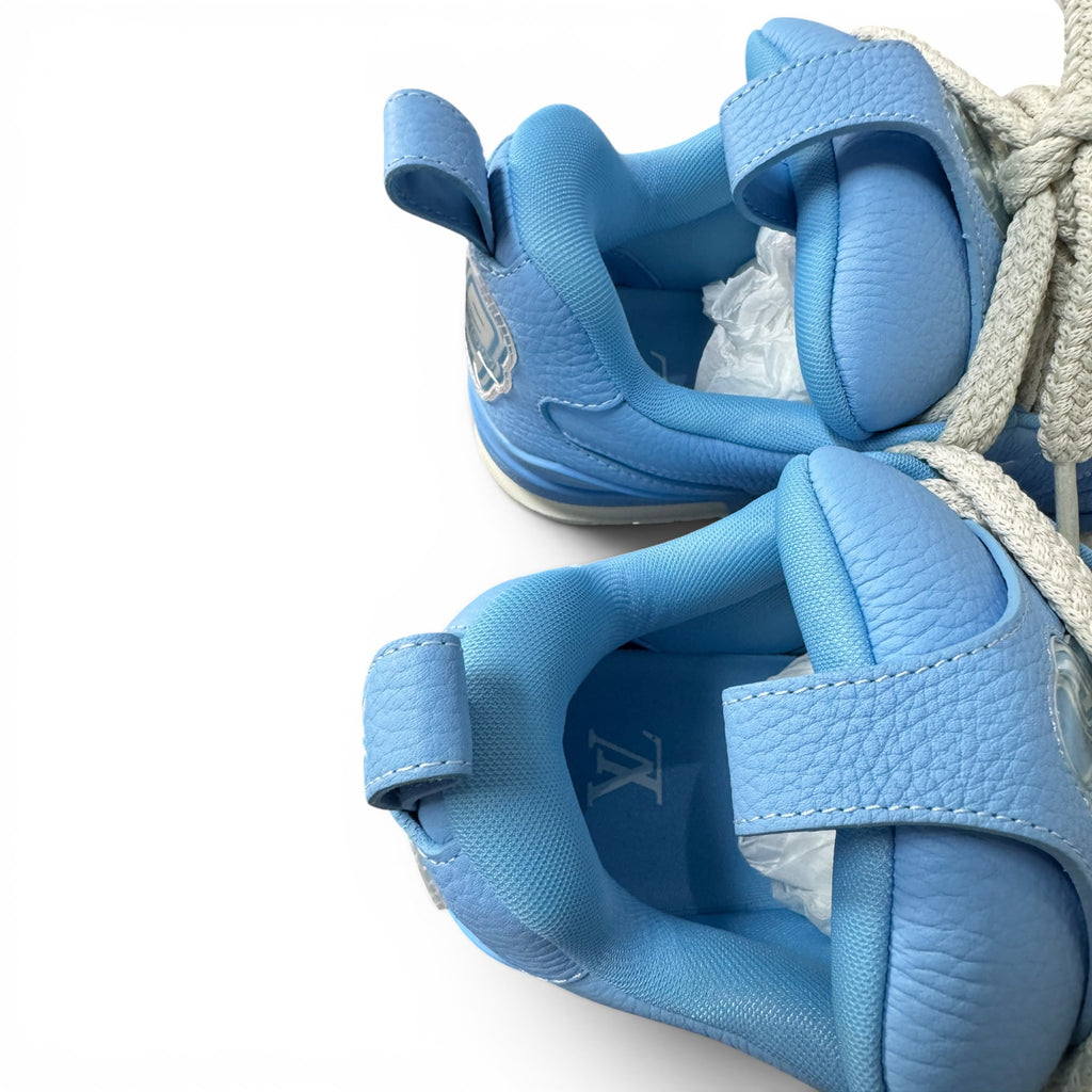 Louis vuitton skate