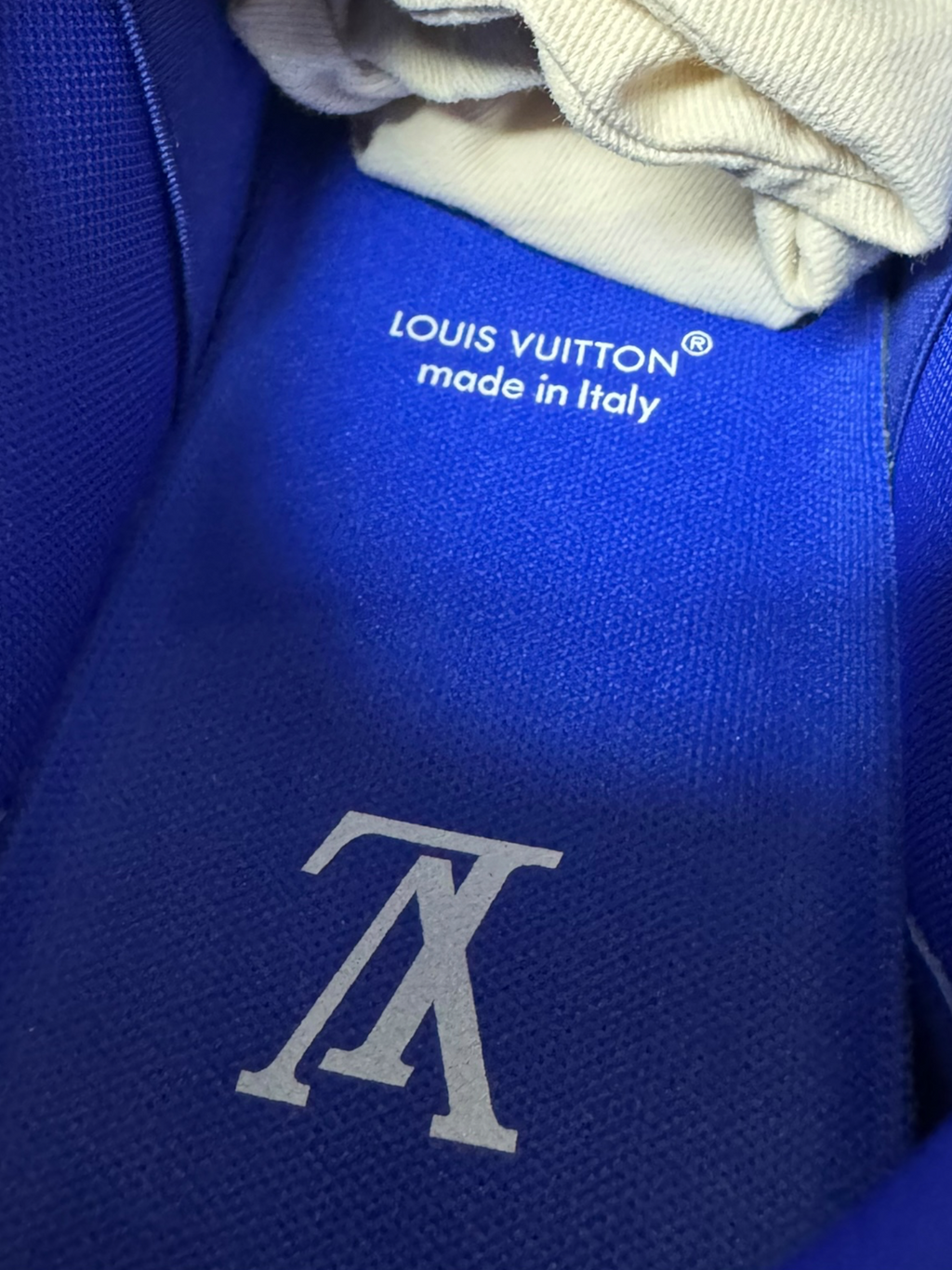 Louis Vuitton skate n40