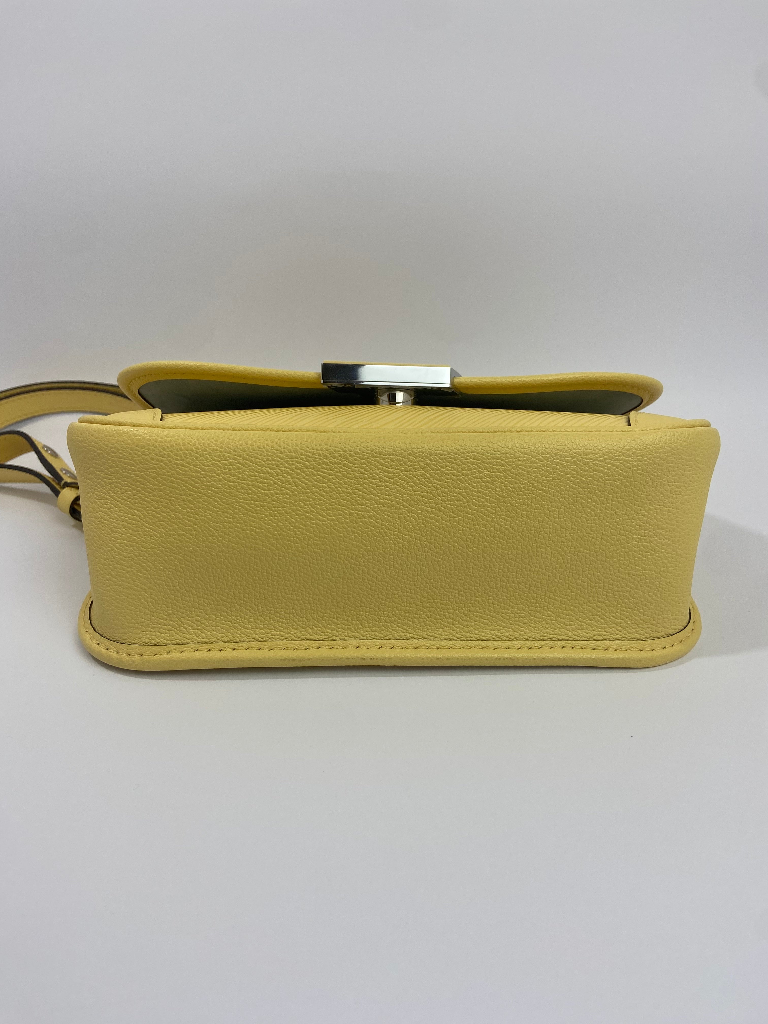 Louis vuitton sac buci