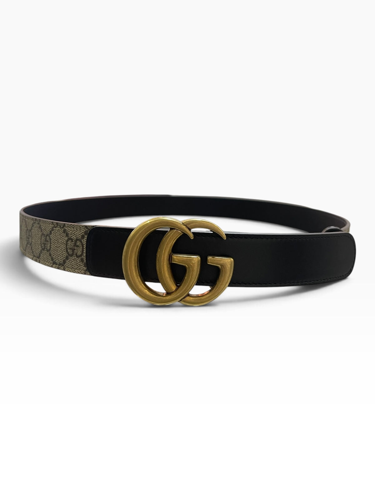 Cintura Gucci marmont